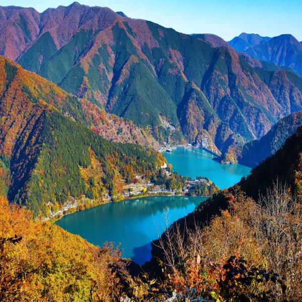奥多摩湖と大橋を望むパノラマ絶景（エメラルドグリーンの湖面）